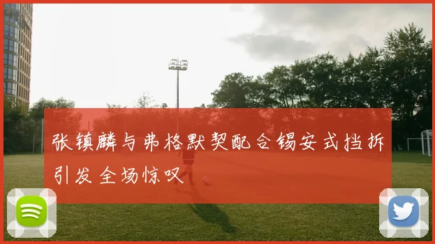 张镇麟与弗格默契配合锡安式挡拆引发全场惊叹