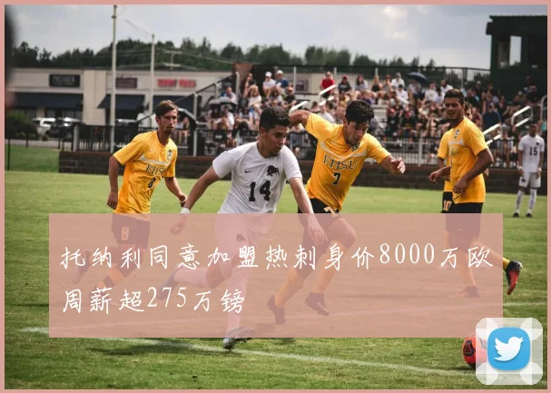 托纳利同意加盟热刺身价8000万欧周薪超275万镑